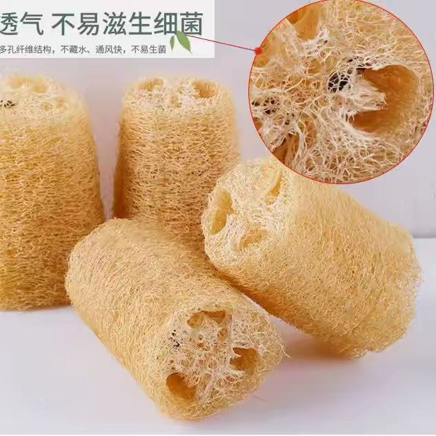 Plant pot washing brush